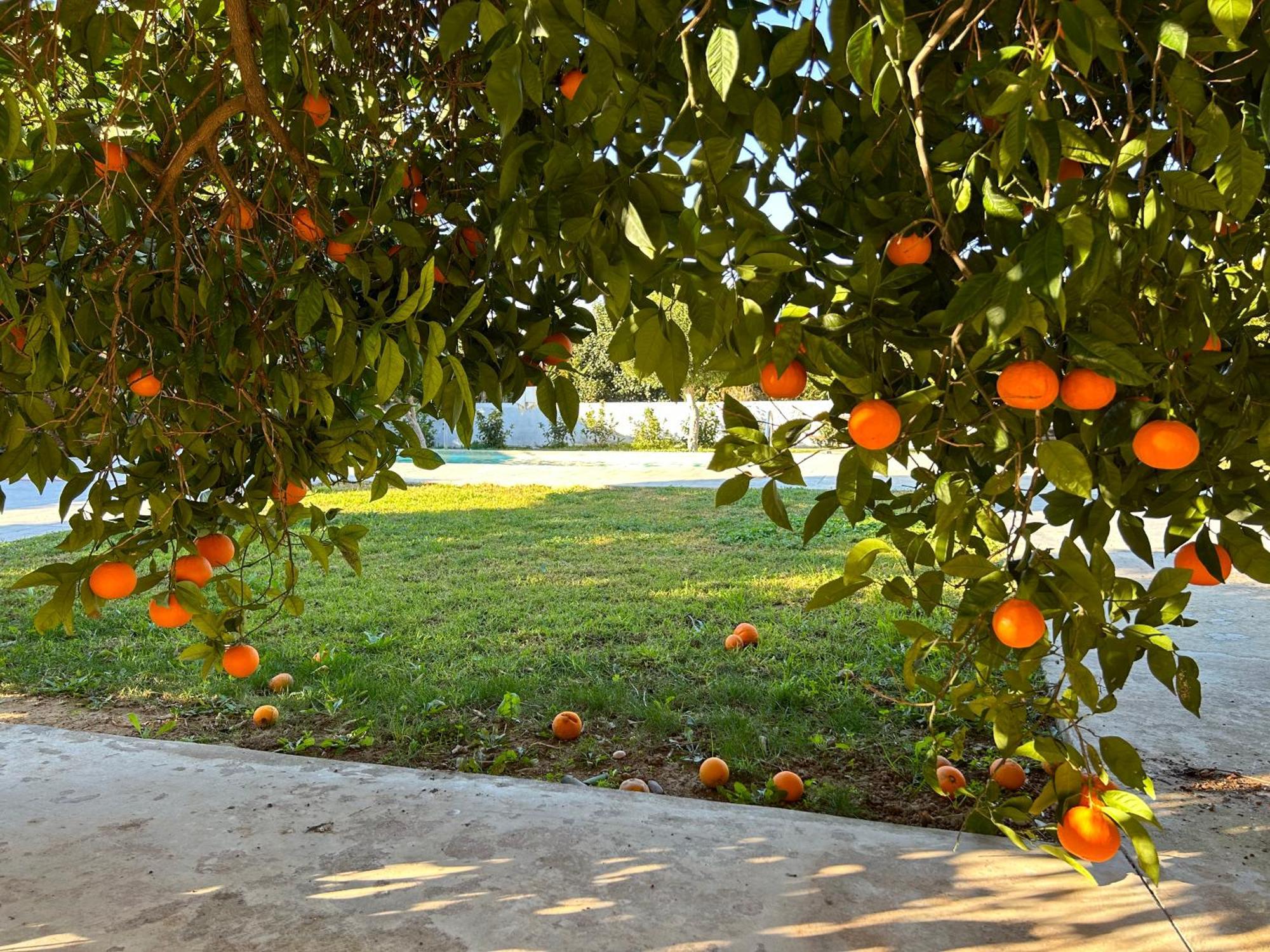 The Orange Garden Apartamento Náuplia Exterior foto